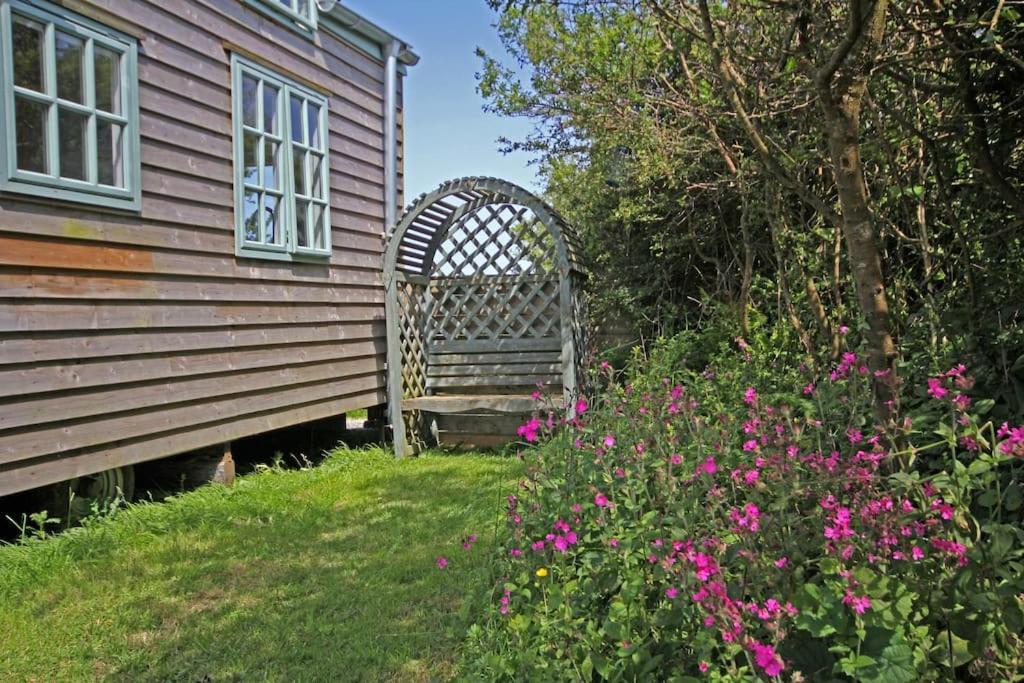 Tiny House On Isolated Farm By The Cornish Coast Villa Bude Ngoại thất bức ảnh